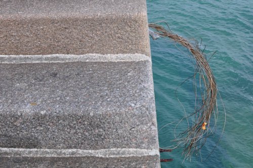 files/CONTRIBUTIONS/fred_leterrier/cable funambule_500.jpg